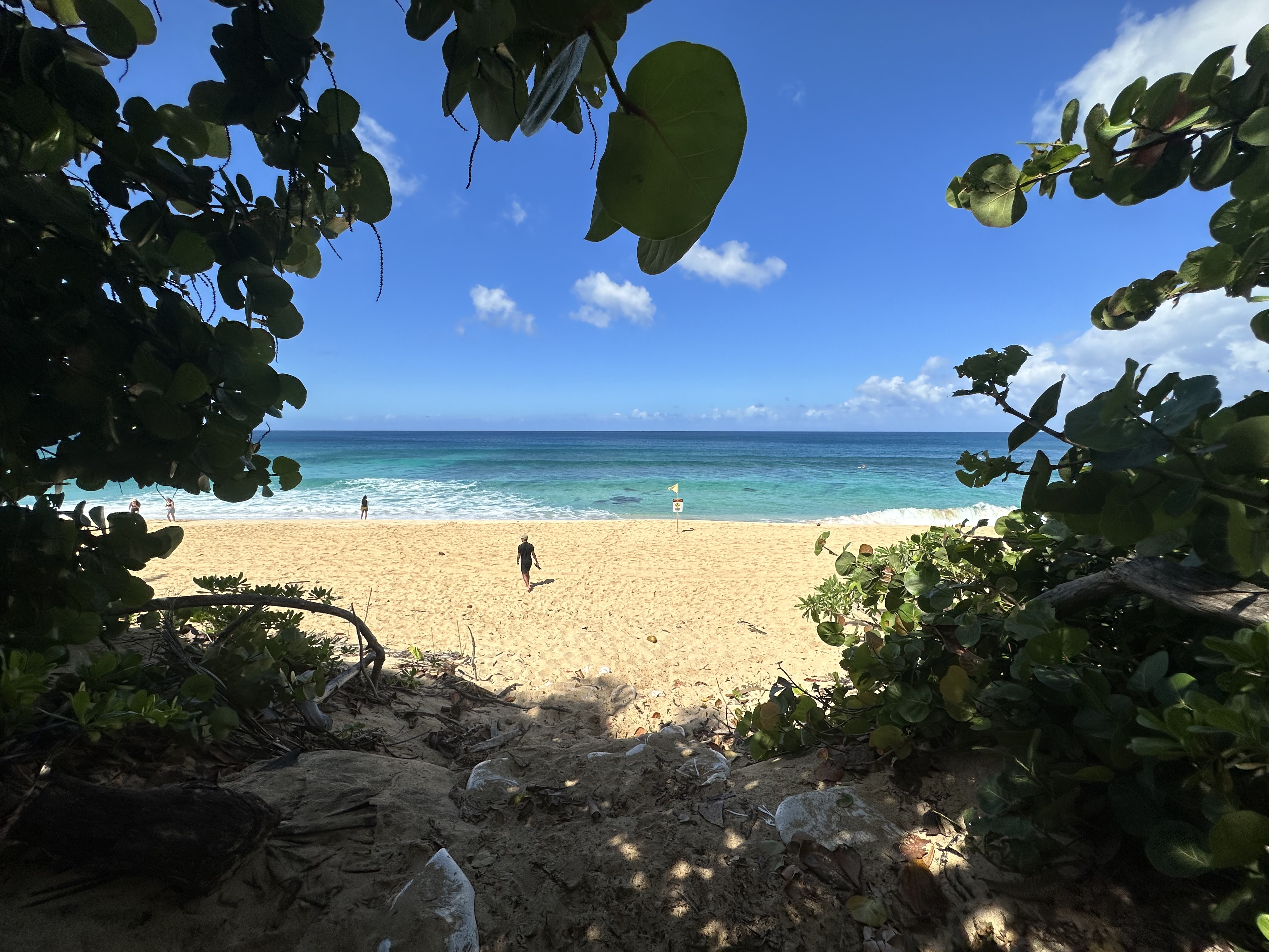 The Complete Maui Travel Guide: Where to Stay, What to Do, and How to Make the Most of Every Day